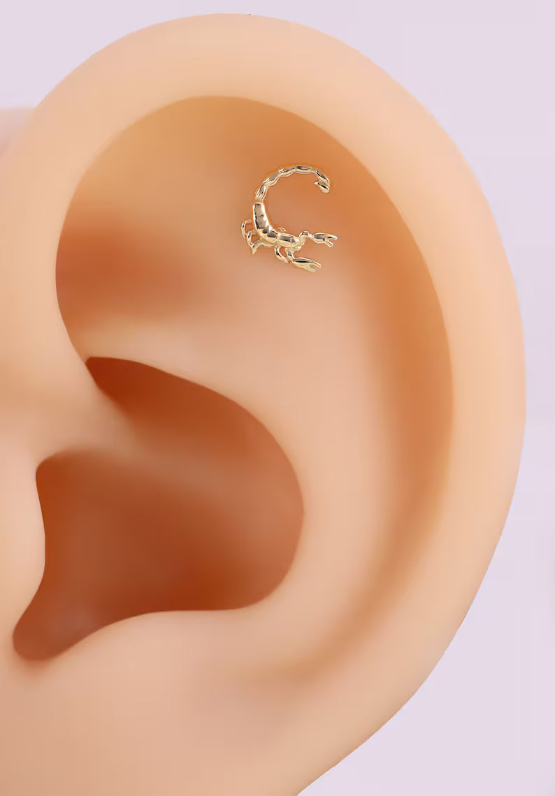 14K Gold Scorpion Stud Earring for Piercing