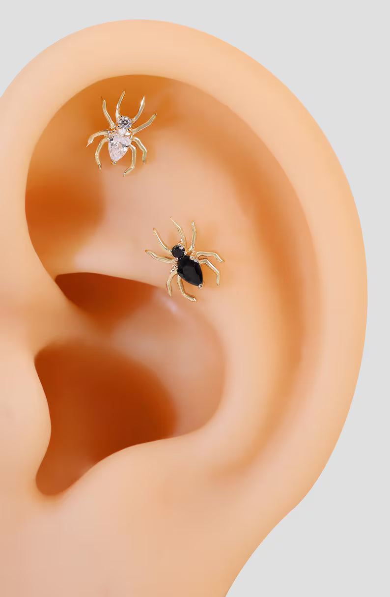 14K Gold Dainty Spider Stud Earrings