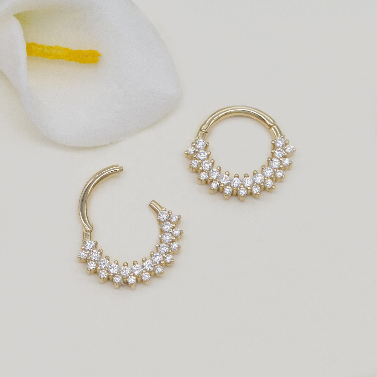 14K Solid Gold Double Row Hinged Hoop