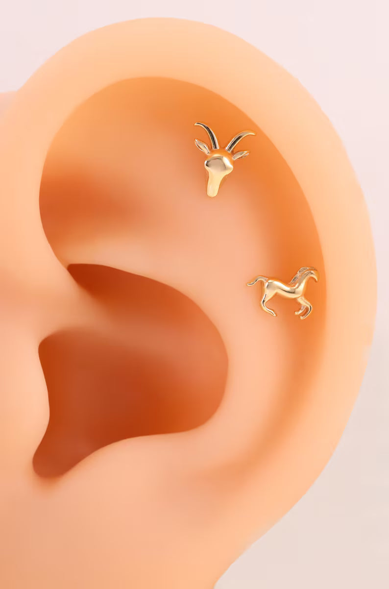 14K Gold Horse Earring for Piercings
