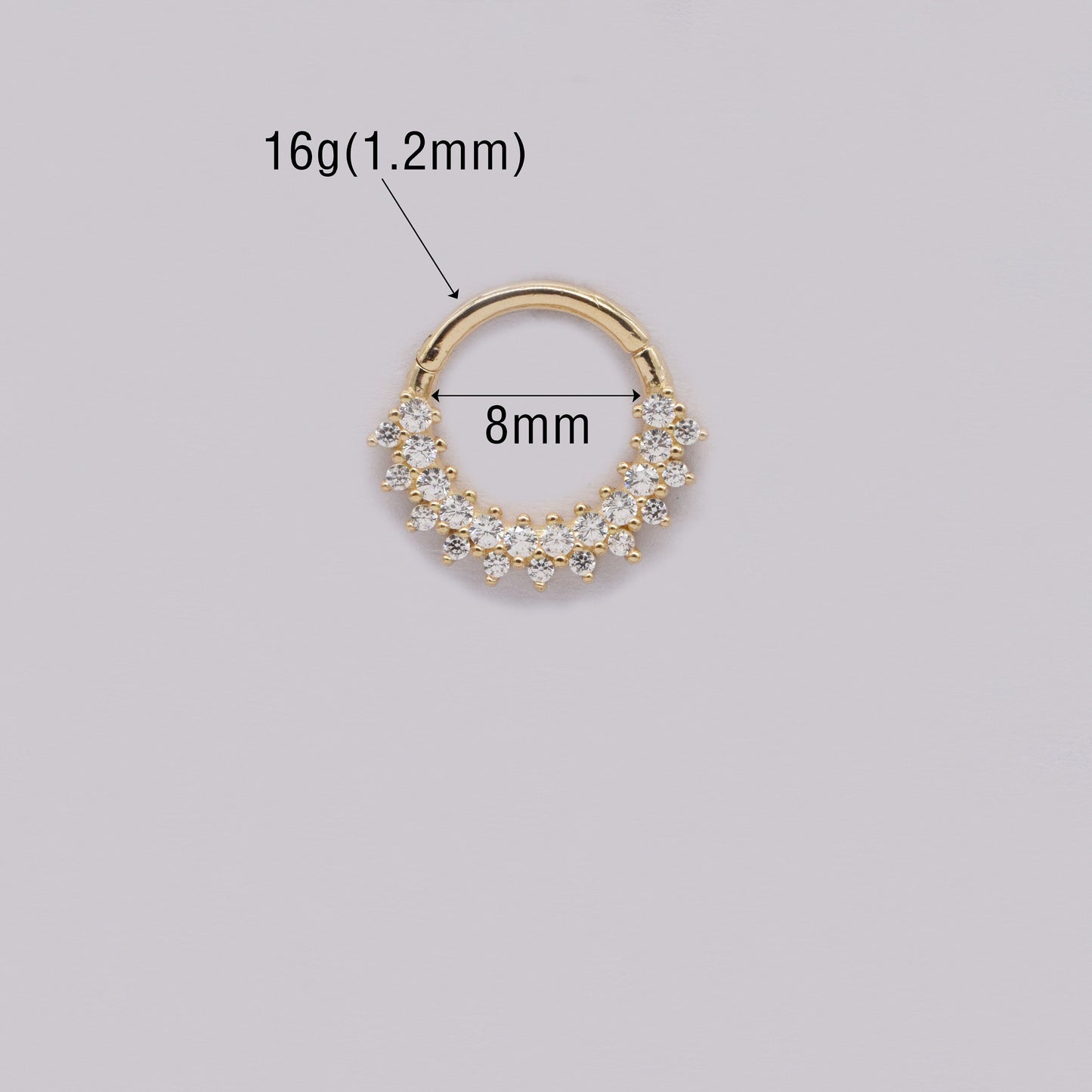 14K Solid Gold Double Row Hinged Hoop