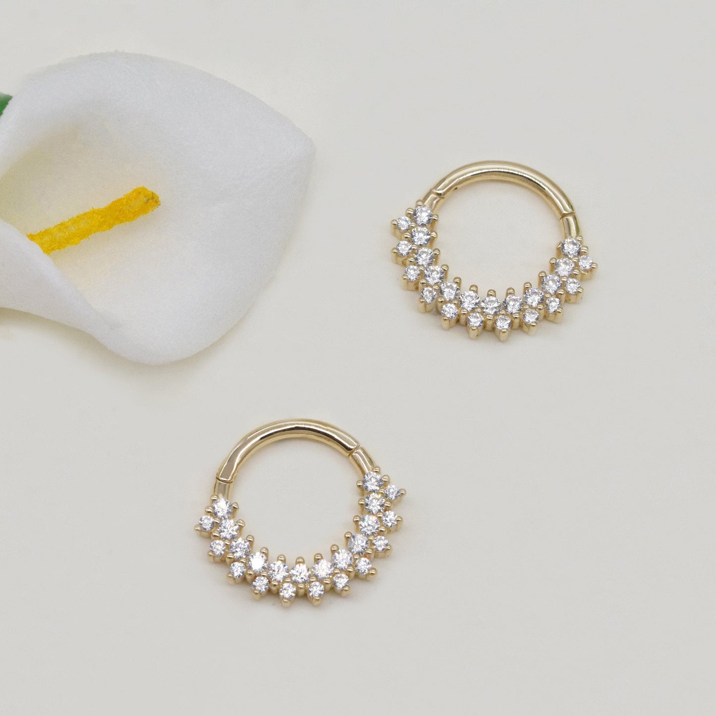 14K Solid Gold Double Row Hinged Hoop