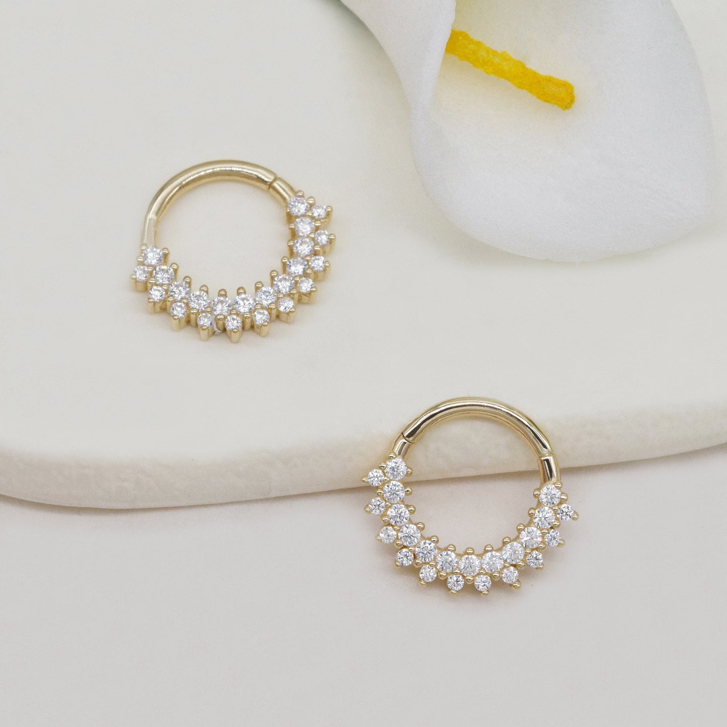 14K Solid Gold Double Row Hinged Hoop