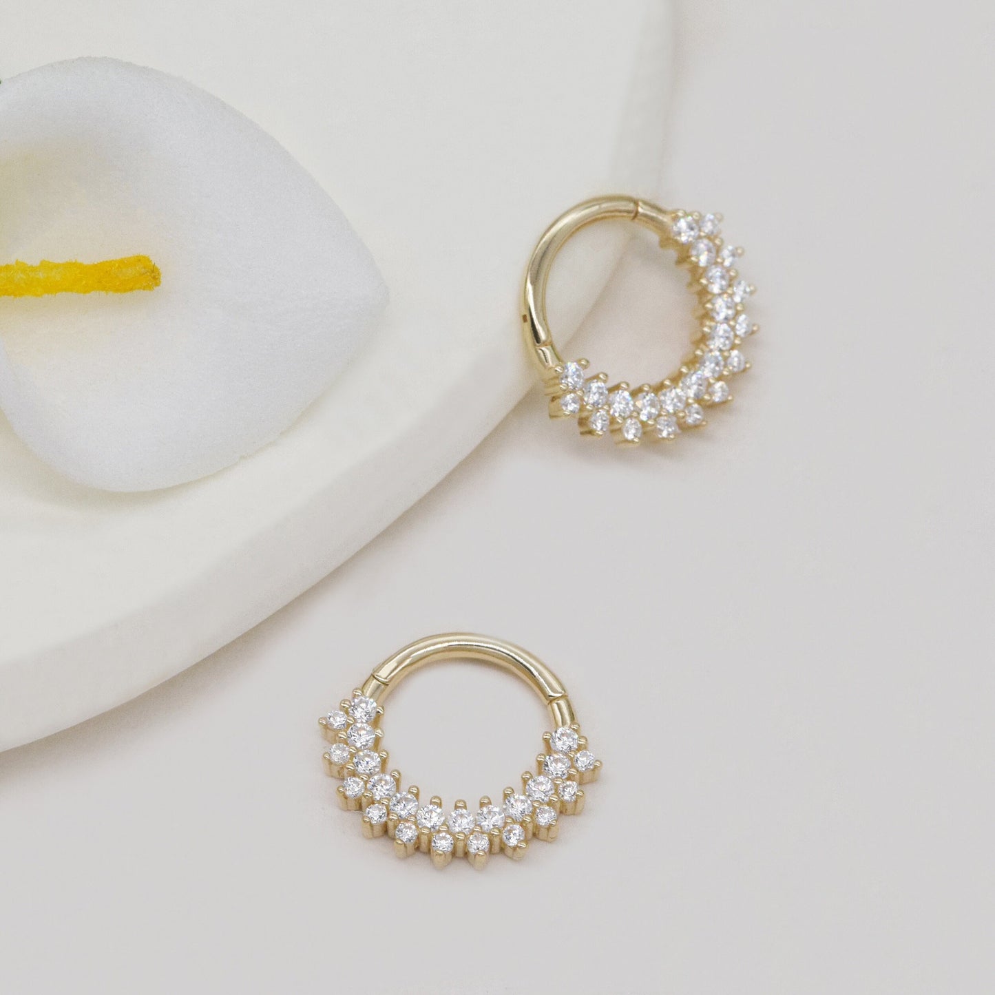 14K Solid Gold Double Row Hinged Hoop