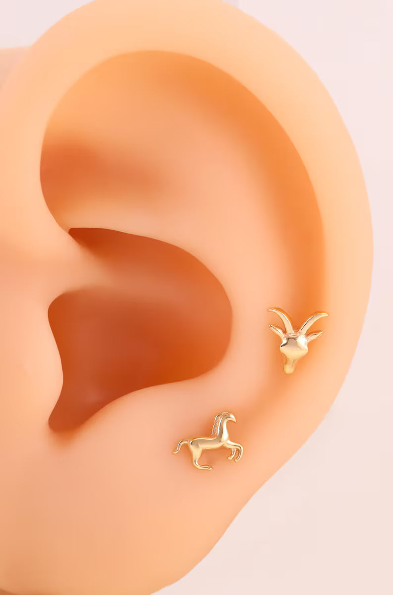 14K Gold Horse Earring for Piercings