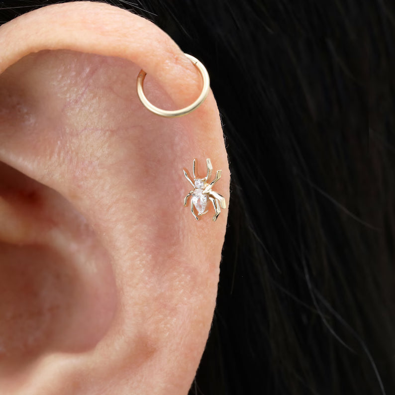 14K Gold Dainty Spider Stud Earrings