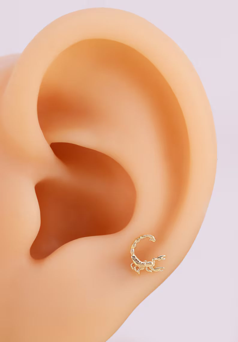 14K Gold Scorpion Stud Earring for Piercing