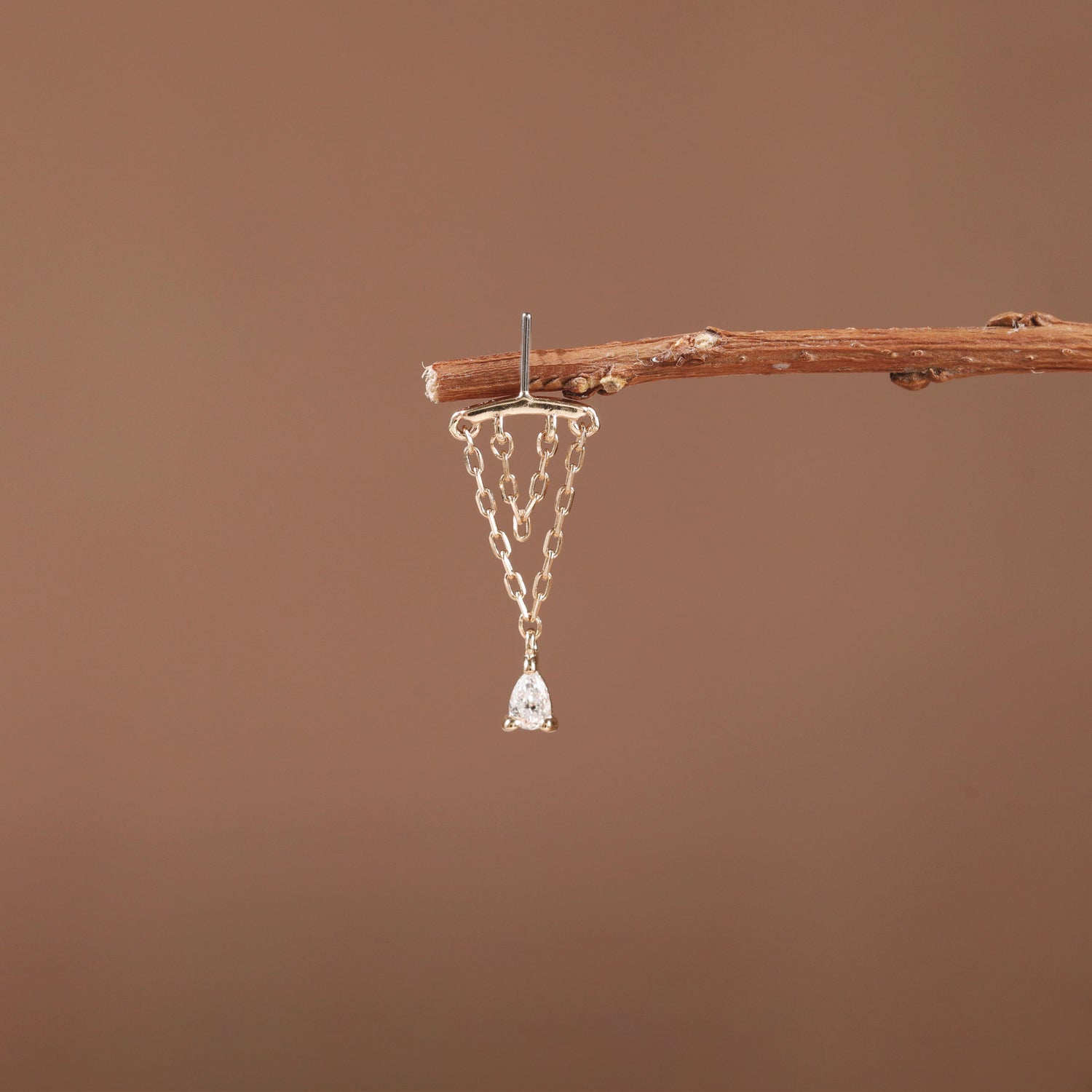 Cartilage