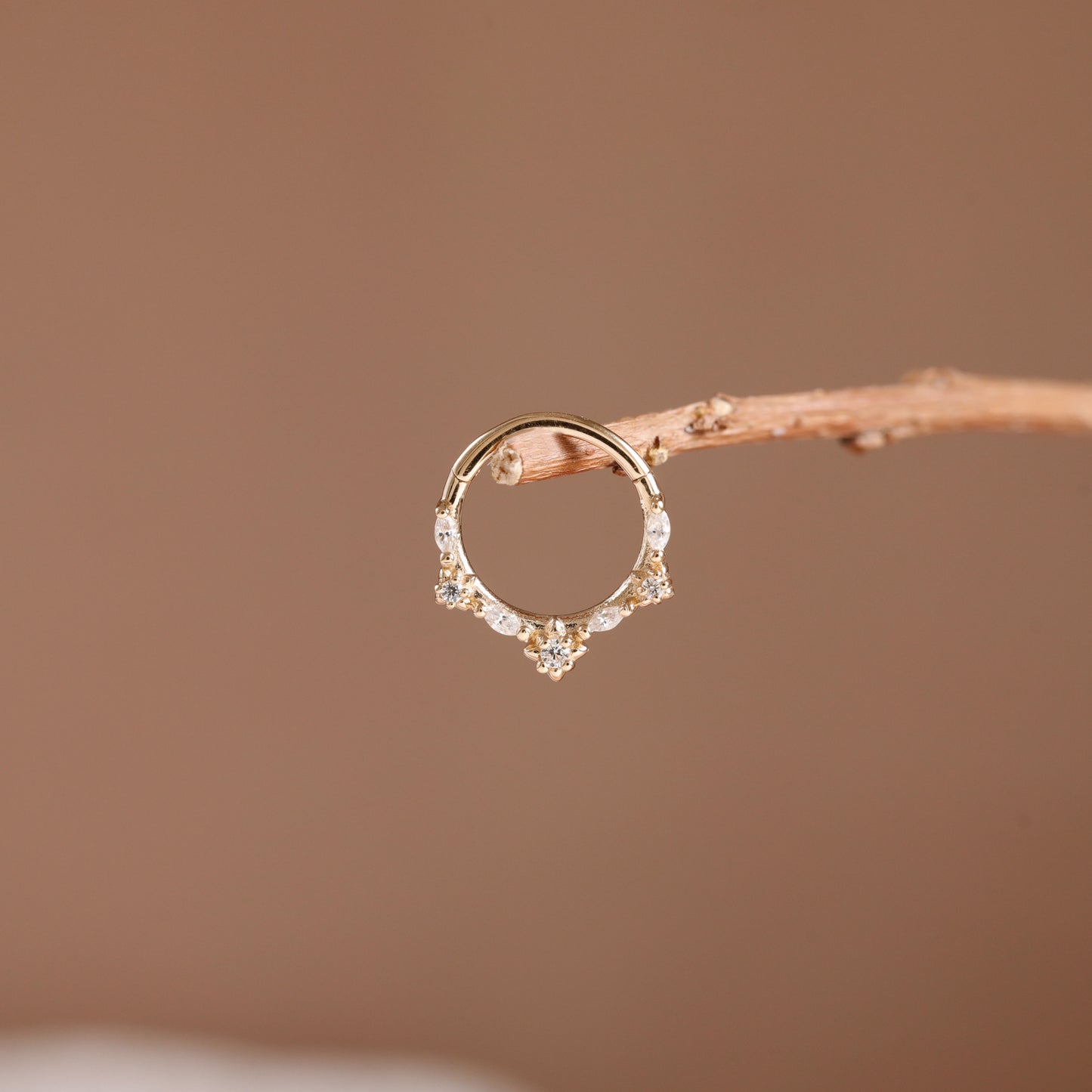 A delicate gold ring with small clear stones and a central floral cluster, displayed on a thin twig against a soft brown background.