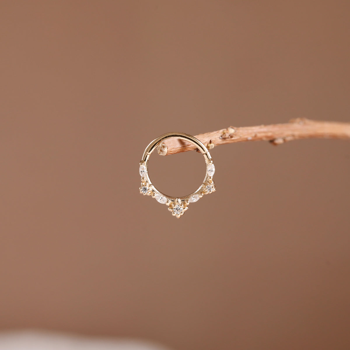 A delicate gold ring with small clear stones and a central floral cluster, displayed on a thin twig against a soft brown background.