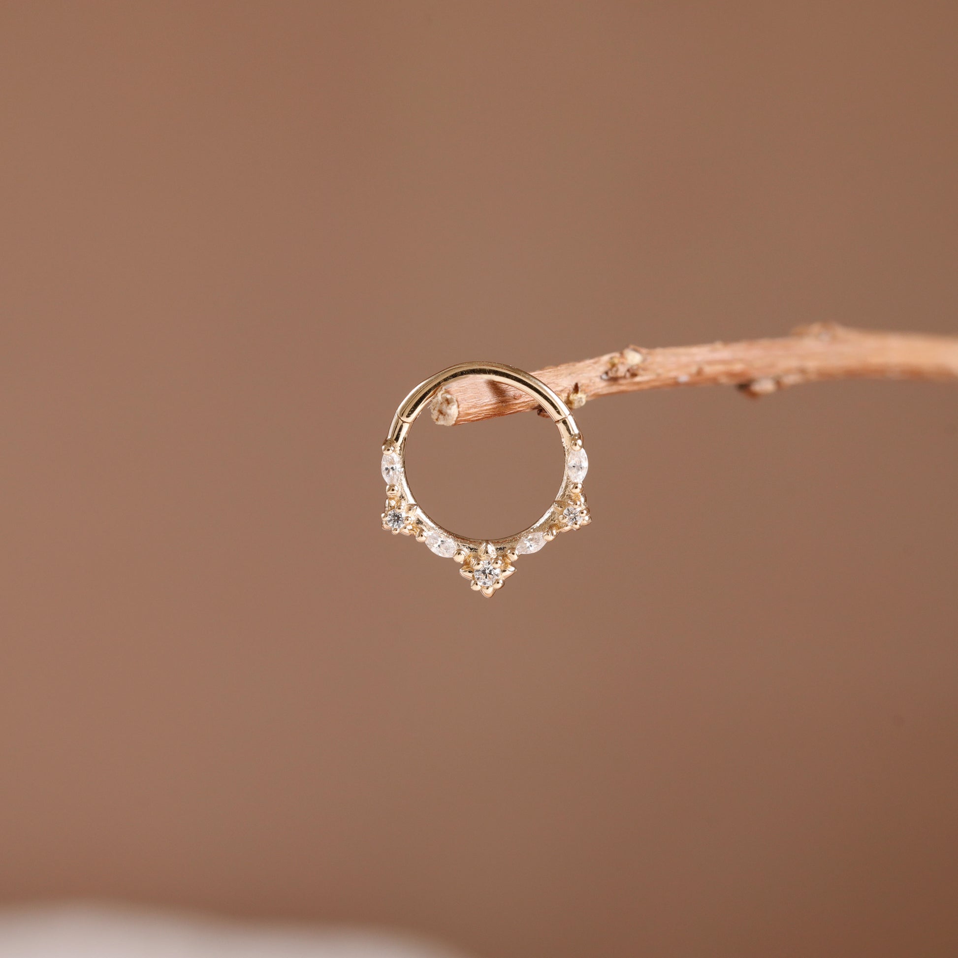 A delicate gold ring with small clear stones and a central floral cluster, displayed on a thin twig against a soft brown background.
