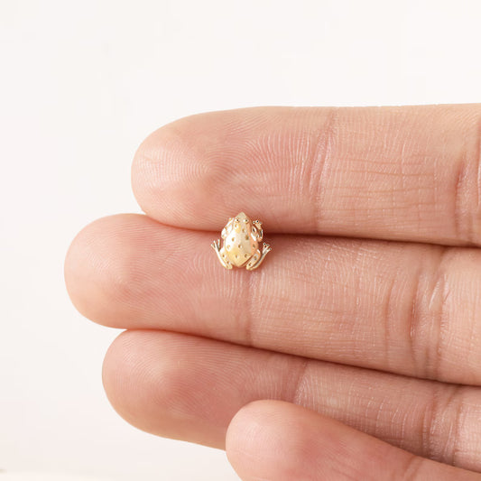 14K Solid Gold Frog Cartilage Stud Earring Flat Back