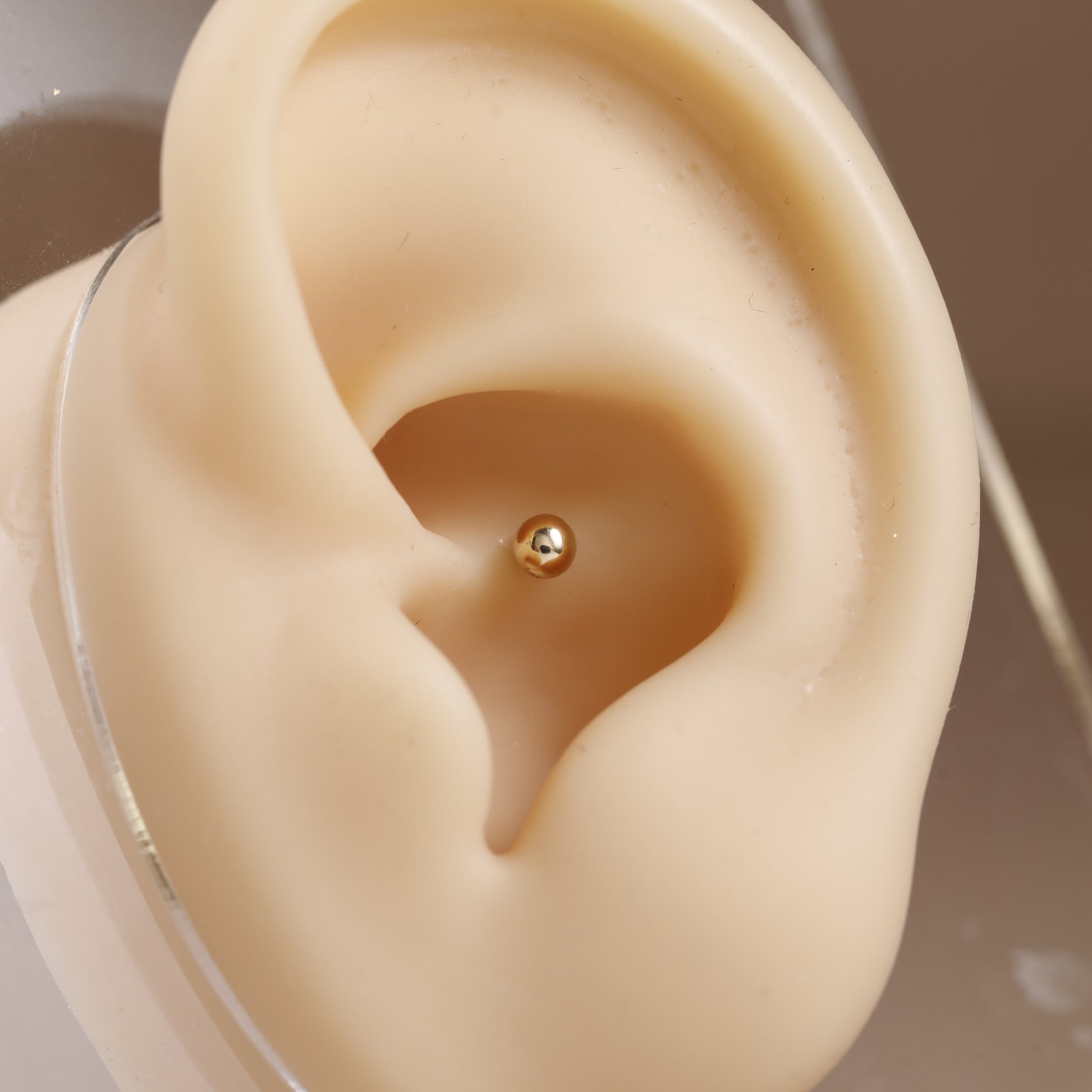 A close-up of a beige silicone ear model with a small gold stud earring displayed on the earlobe, set against a soft neutral background.