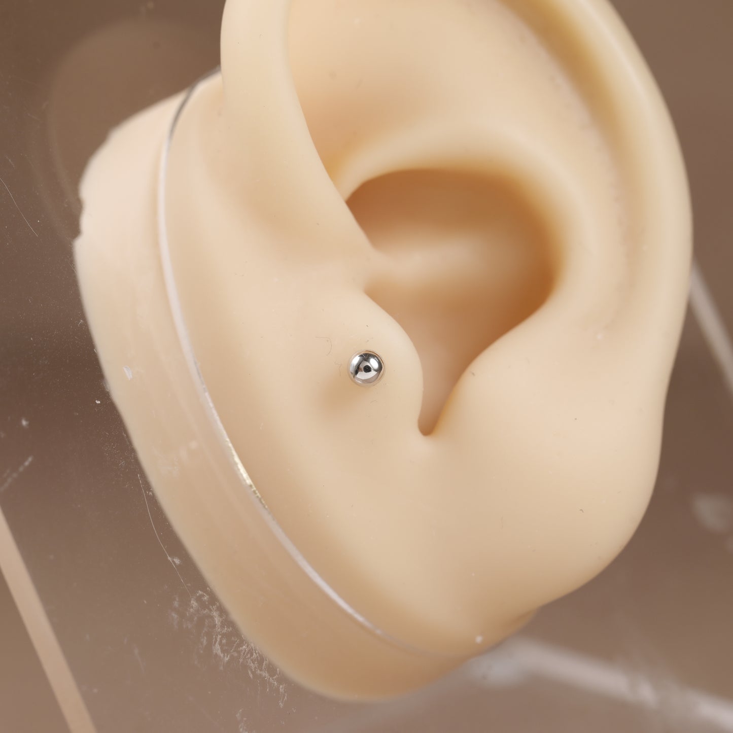 A close-up of a beige silicone ear model displaying a small silver metallic stud piercing on the helix.